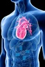 Cardiología - 5 consultas cardiológicas | CME