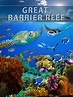 Watch Great Barrier Reef | Prime Video