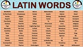 List Of Latin Words - Vocabulary Point