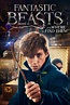 Fantastic Beasts and Where to Find Them - Full Cast & Crew - TV Guide