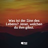 Was ist der Sinn des Lebens? Jener, welchen du ihm gibst!