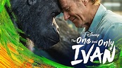 The One and Only Ivan Movie Review and Ratings by Kids