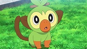 Grookey de Goh - WikiDex, la enciclopedia Pokémon