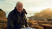 Watch the trailer for Wild Isles presented by Sir David Attenborough ...