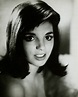 25 Pictures of Young Liza Minnelli | Liza minnelli, Celebrity photos ...