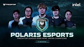 Polaris Esports defeats Execration in all-Filipino Dota 2 Grand Finals ...