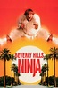 Beverly Hills Ninja (1997) | FilmFed