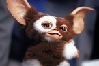 Don’t expose Gremlins to water or light, but the vinyl soundtrack is ...