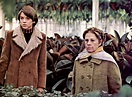 Harold and Maude | Film 1971 | Moviepilot.de