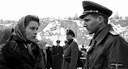 Ralph Fiennes and Embeth Davidtz in Schindler's List (1993) | Schindler ...