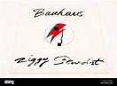 Bauhaus Ziggy Stardust Stock Photo - Alamy