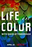 Netflix's Life in Color Trailer Reveals David Attenborough Nature Doc ...