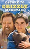 Escape to Grizzly Mountain - Where to Watch and Stream - TV Guide
