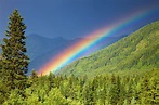 The 7 Colors of the Rainbow and Their Meanings Explained in Detail ...