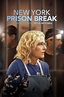 Watch New York Prison Break: The Seduction of Joyce Mitchell Online ...