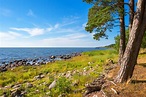 Holidays in Estonia | Lahemaa and Countryside tour - Nordic Experience