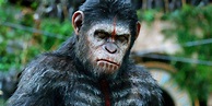 Planet of the Apes Interview: How The Series Can Continue After Caesar ...