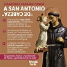 ¿Cuáles son los milagros de San Antonio de Padua?