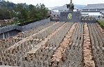 Qin Shi Huang Di's Tomb (Statue of Thousand soliders )