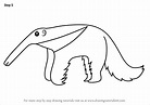 Step by Step How to Draw a Cartoon Anteater : DrawingTutorials101.com