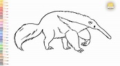 Anteater drawing easy | Draw An Anteater drawing simply - YouTube
