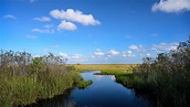 Sold Out - Exploring the Everglades: A Walk Through the River of Grass ...