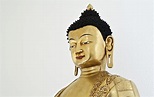 ¿Quién fue Buda? - Seres Pensantes