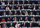 The European Parliament - European Studies Hub