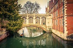 10 actividades para hacer en Cambridge en un día - ¿Cuáles son los ...