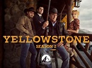 Yellowstone serie ¿Dónde la podemos ver? ¿Está en Netflix? • zoNeflix
