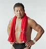Tatsumi Fujinami: Profile & Match Listing - Internet Wrestling Database ...
