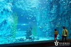 Lotte World Aquarium | Lotte Amusement Park | Themed Park