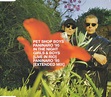 Pet Shop Boys - Paninaro '95 (1995, CD) | Discogs