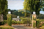 Francis Ford Coppola Winery: A Wine Wonderland