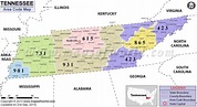 Tennessee Area Codes | Map of Tennessee Area Codes