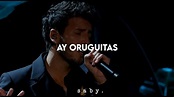Dos Oruguitas - Sebastián Yatra (Letra) | Oscar Versión - YouTube