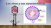 VIDEO LOS VIRUS Y SUS CARACTERÍSTICAS - YouTube