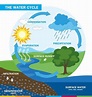 Water Cycle | Summary, What Is It? | A Level Geography Revision Notes