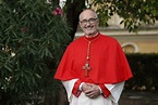 "A bit nervous and also very happy": interview with cardinal Michael ...