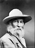 ¿Qué podemos aprender del poeta Walt Whitman?