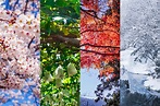 春夏秋冬のコラージュ背景画像 | TRANS.Biz