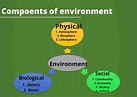 Components of Environment and it's importance - Ritu's Academy