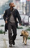 Io sono leggenda,: trama, cast e curiosità del film con Will Smith ...