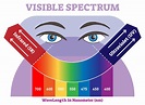 The Visible Spectrum: Overview With Colors Listed in Order of ...