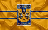 Download Uanl Tigres Fc, 4k, Mexican Football Club, Emblem, - Tigres ...