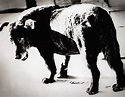 DAIDO MORIYAMA | 'STRAY DOG, MISAWA', 1971 | Photographs | Photographs ...