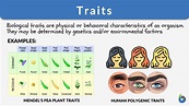 Traits - Definition and Examples - Biology Online Dictionary