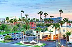 Top Things To Do in Chandler, Arizona