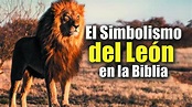 El Simbolismo Del León En La Biblia - YouTube