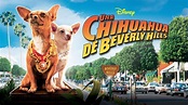 Una chihuahua de Beverly Hills | Disney+